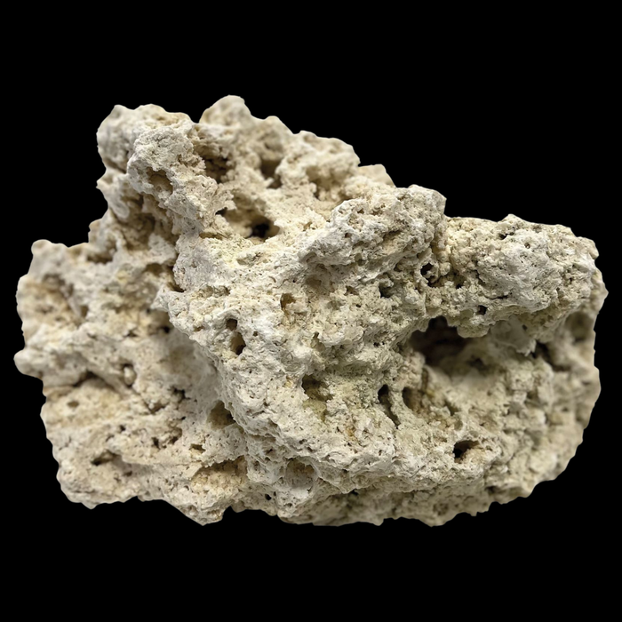 Blue Marine Dry Reef Rock