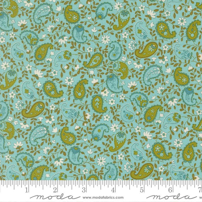 F2651 - Happy Daze Paisley - Aqua