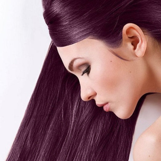 Sanotint Bilberry Hair Dye – Natural, Ammonia-Free Permanent Colour