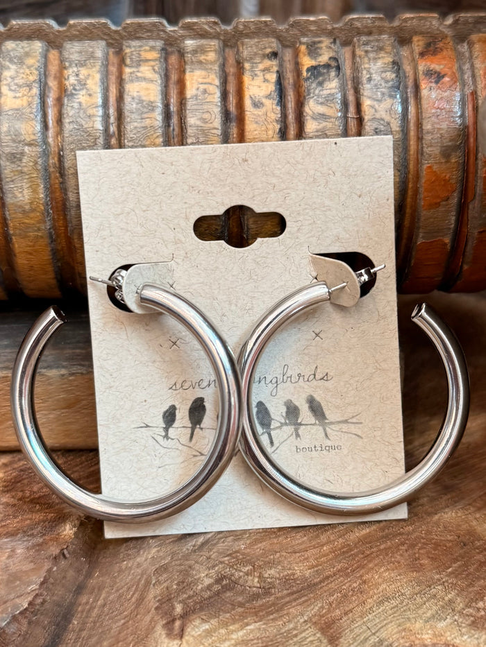 Silver stainless steel hoop earrings with post backs, close-up front view on card.