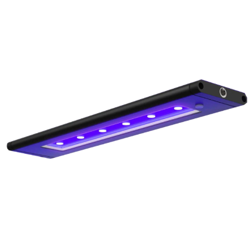 AI Blade GLOW