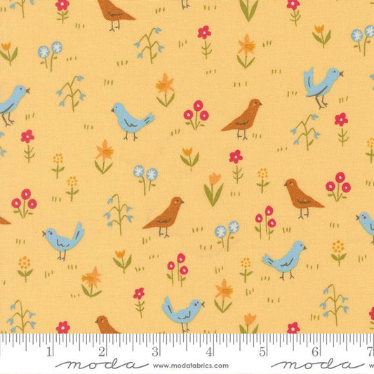 Banana- Animal Park Fun Birds- Fat Quarter