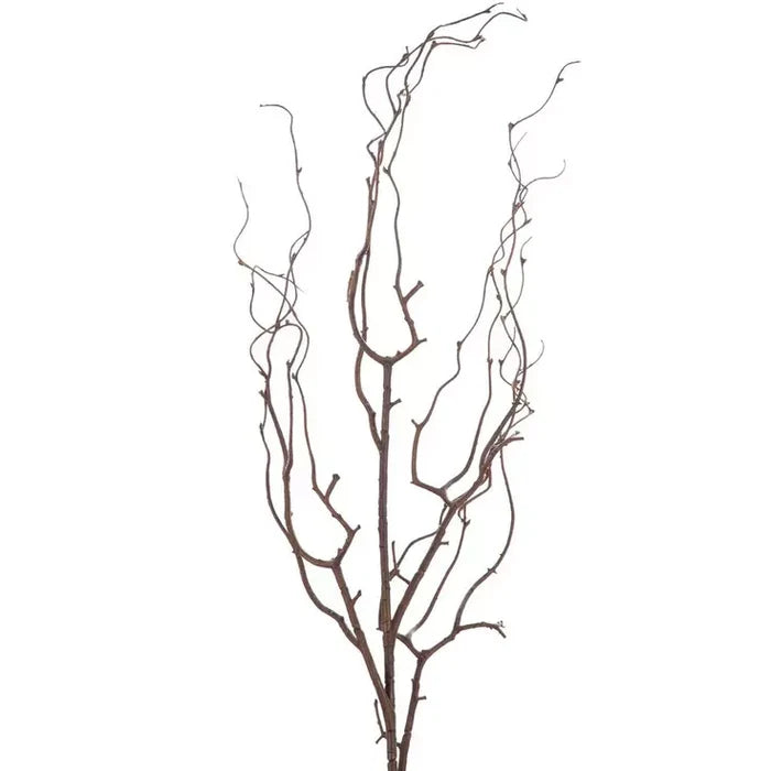 Brown Twig Stem