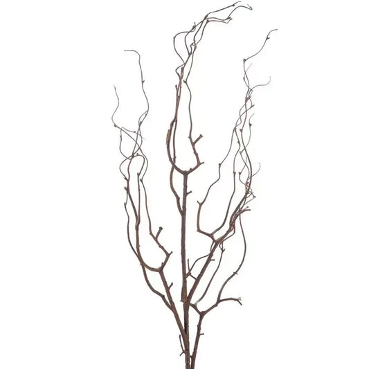 Brown Twig Stem