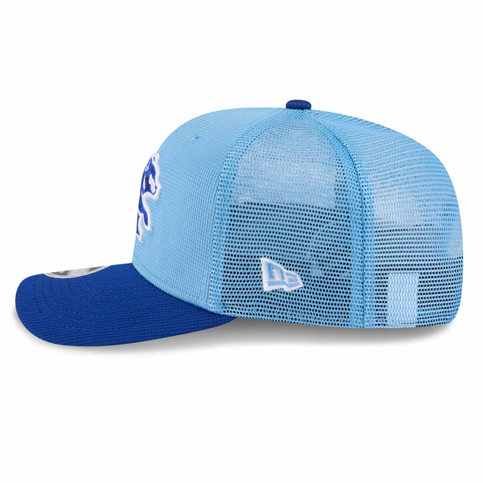 Chicago Cubs New Era Spring Training Bear 9SEVENTY Adjustable Cap