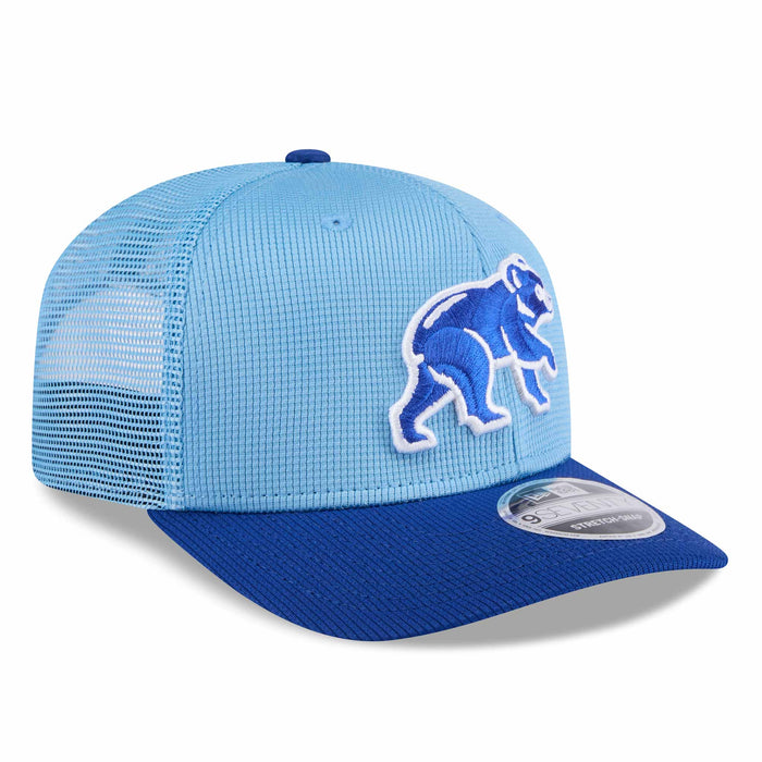 Chicago Cubs New Era Spring Training Bear 9SEVENTY Adjustable Cap