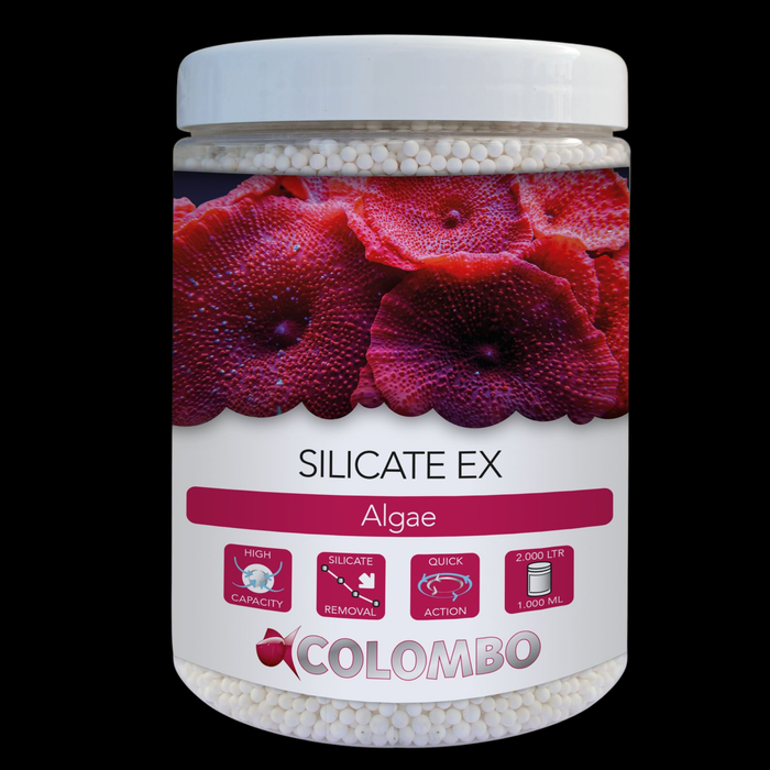Colombo Silicate Ex
