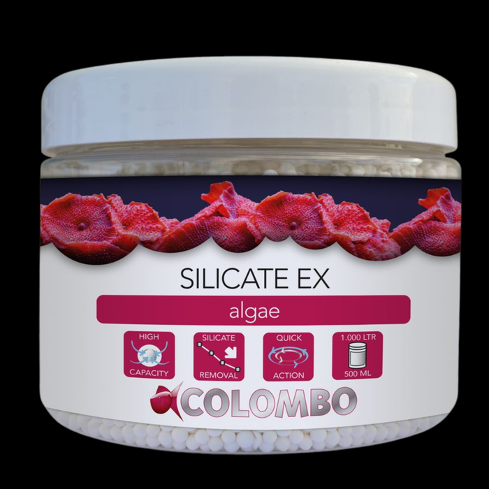 Colombo Silicate Ex