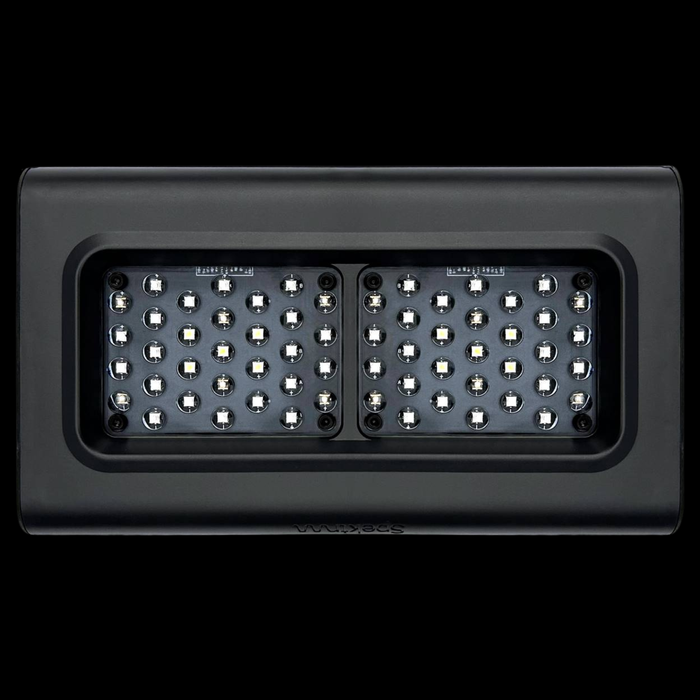 D-D Spektrum