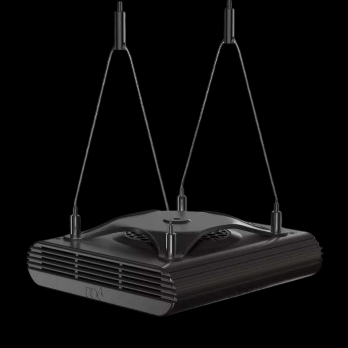 D-D Spektrum