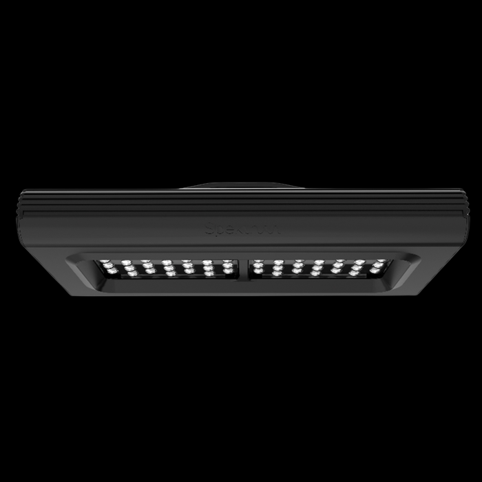 D-D Spektrum