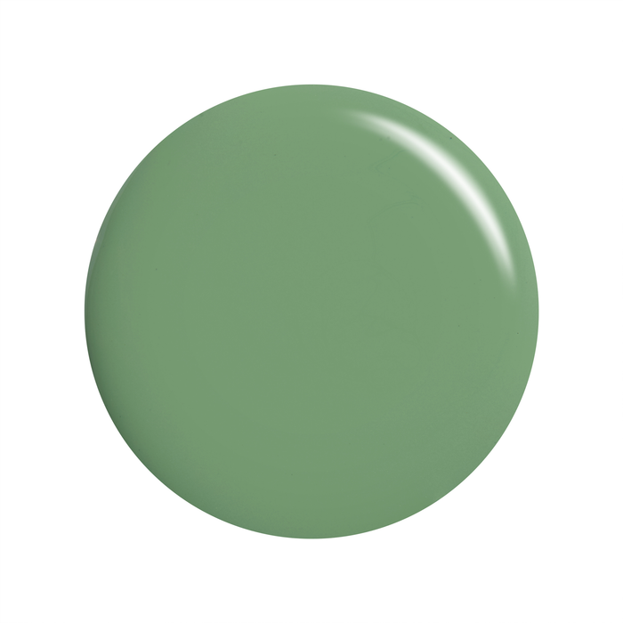 Evergreen muted evergreen nail polish color swatch