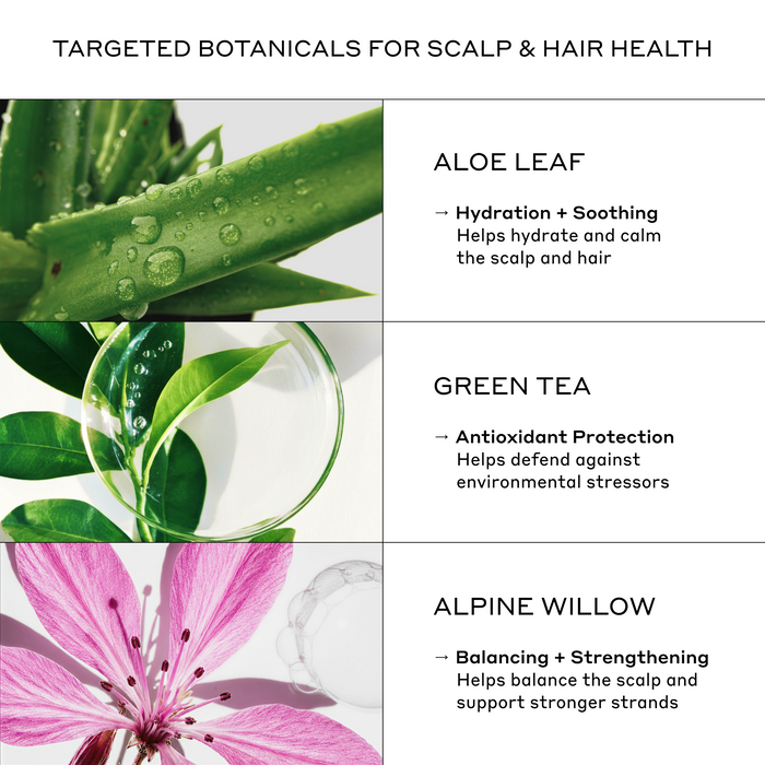 Zenagen Evolve Shampoo and Conditioner featuring aloe leaf, green tea, and alpine willow to help support hydrated, balanced, healthy-looking hair and scalp.