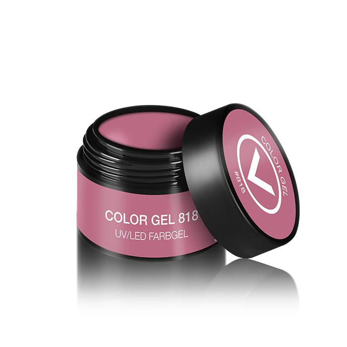 FARBGEL 5ml #818