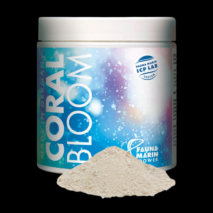 Fauna Marin Coral Bloom