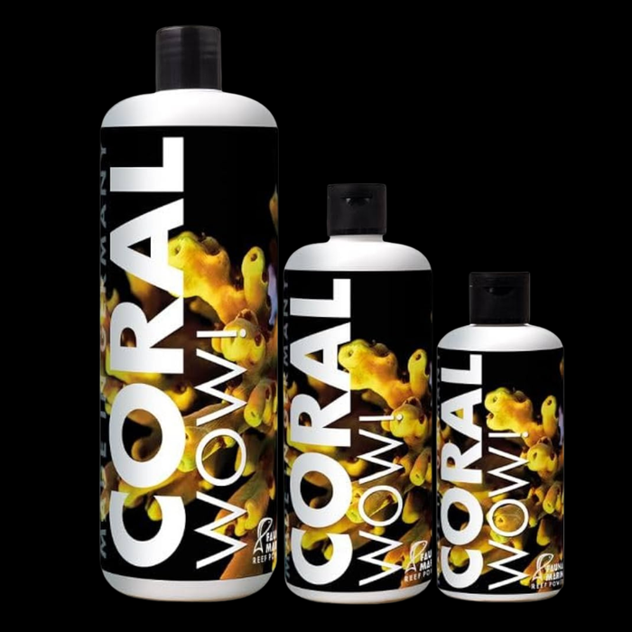 Fauna Marin Coral WOW!