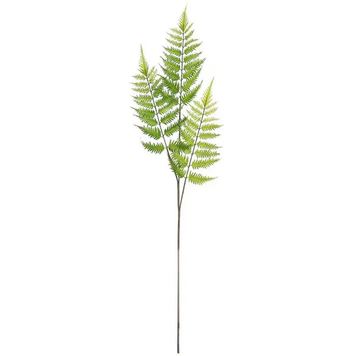 Fern Spray
