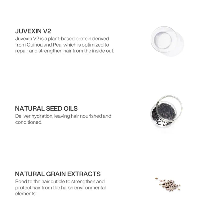 Goodbye Dryness Kit ingredients: Juvexin V2 protein repairs, natural seed oils hydrate, natural grain extracts strengthen and protect