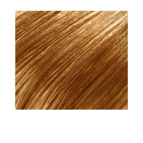 27 Honey Blonde