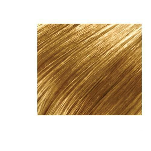 27 613 Honey Blond Beige Blond