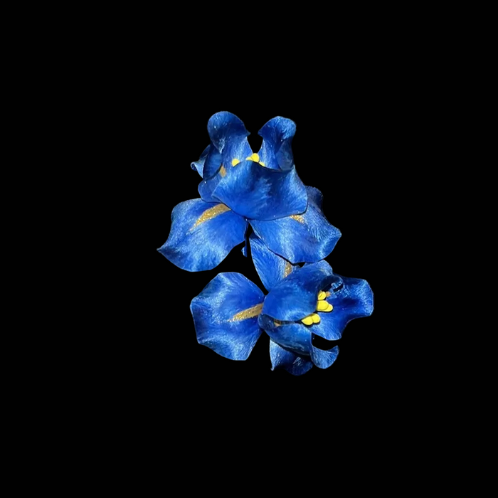 Handmade Ronghua Blue Iris Brooch | Mulberry Silk Velvet Bearded Iris Flower Pin