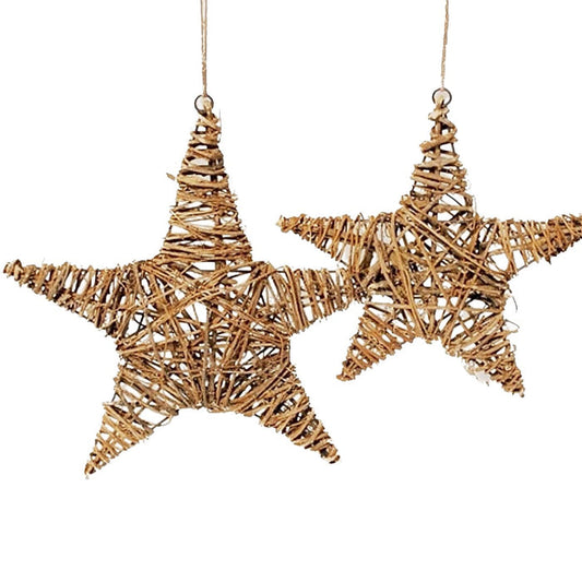 Hanging Vine Star