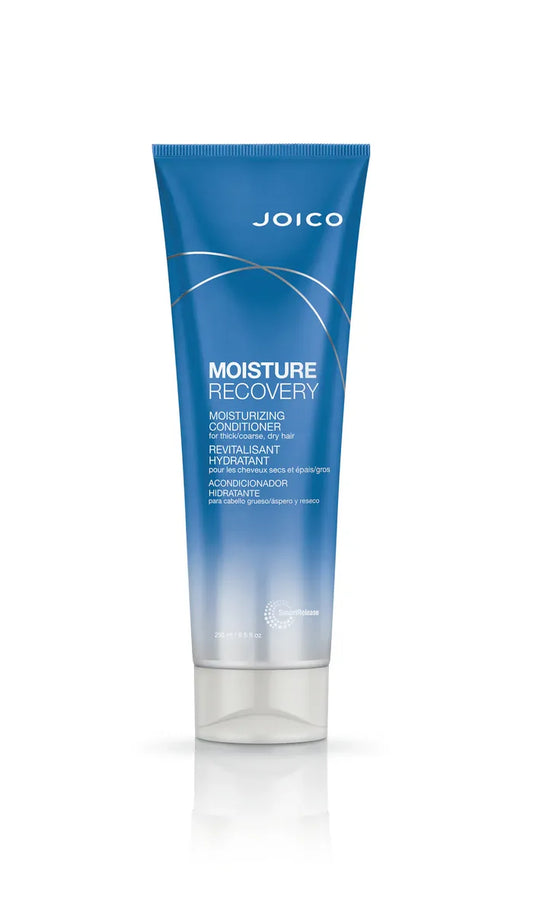 Joico Conditioner Joico Moisture Recovery Conditioner - 250ml