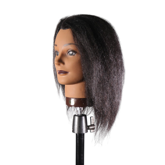 Marla [80% Human Hair, 10% Synthetic Hair, 10% Horse Hair Mannequin]