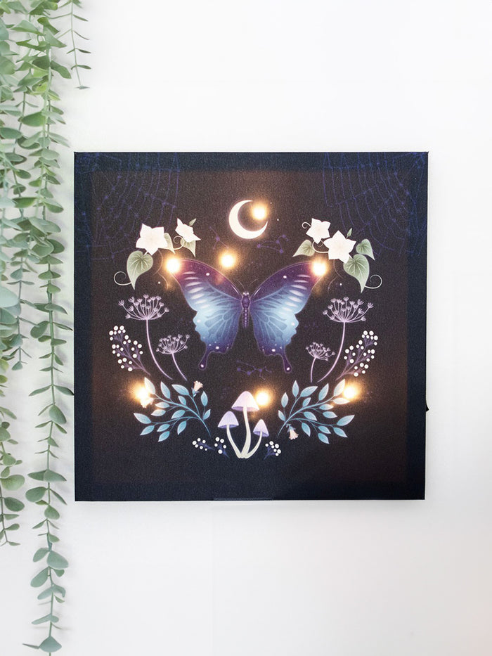 Midnight Moth Light Up Canvas | One Colour-Image 1