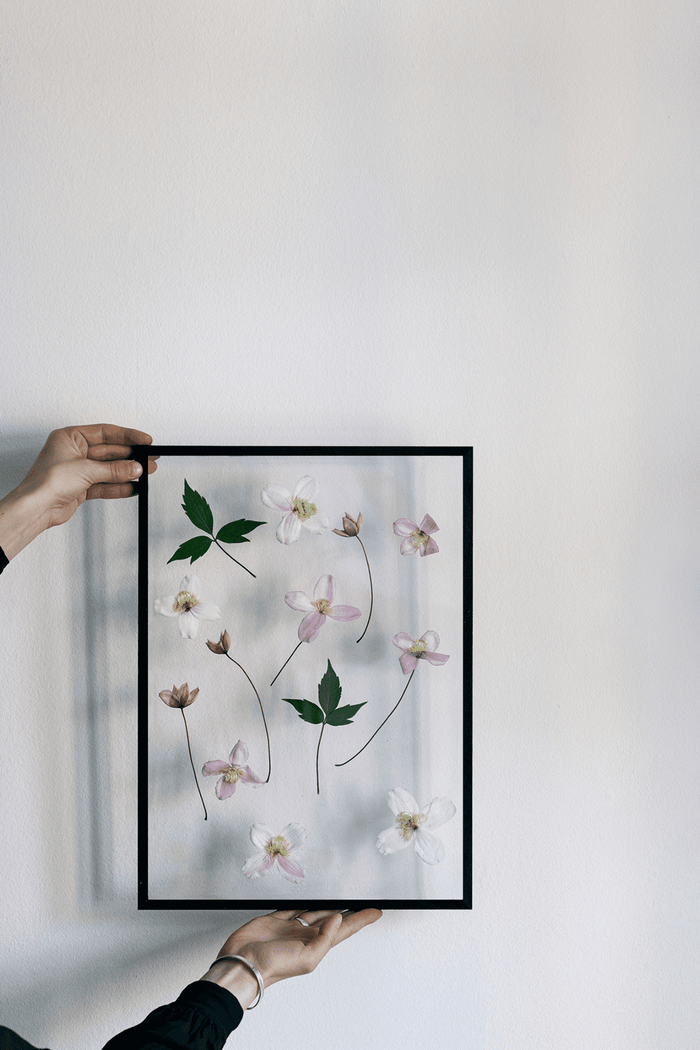 MOEBE Transparent Black Frame - The Poster Club