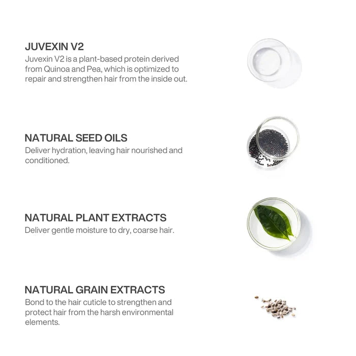 Ingredient panel: Juvexin V2, a quinoa and pea protein that repairs hair, plus natural seed oils, plant and grain extracts