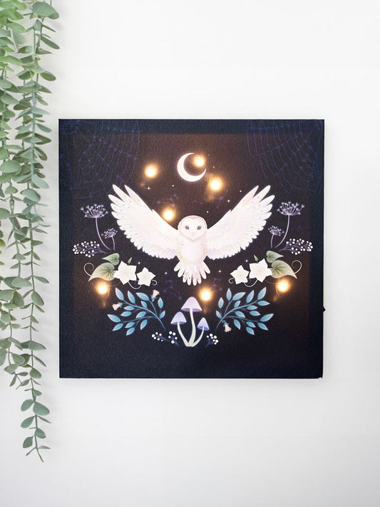 Night Owl Light Up Canvas | One Colour-Image 1