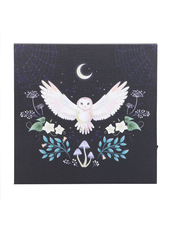 Night Owl Light Up Canvas | One Colour-Image 2