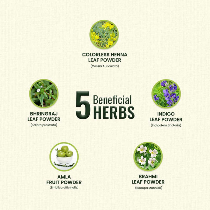 Five beneficial herbs with their names and images on a beige background.