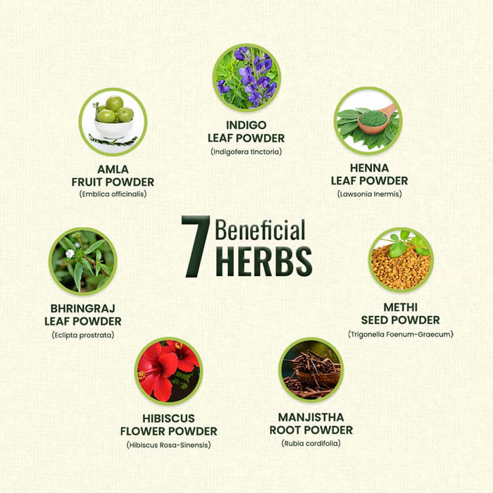 List of 7 beneficial herbs with their names and images on a beige background.