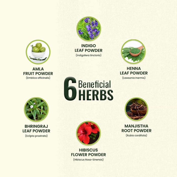 List of six beneficial herbs with images and names on a beige background.