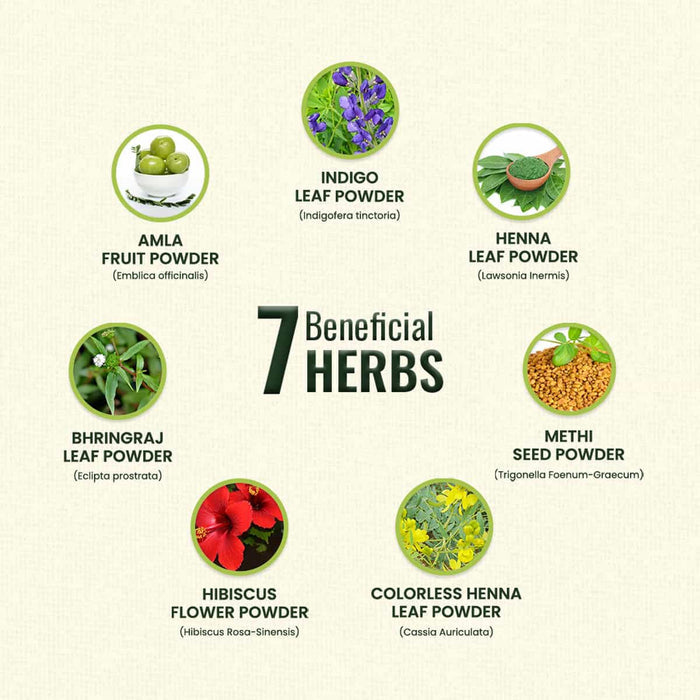 Illustration of 7 beneficial herbs with their names and images on a beige background.
