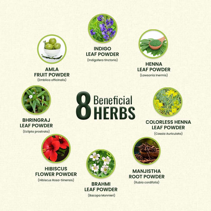 Illustration of 8 beneficial herbs with their names and images on a light beige background.
