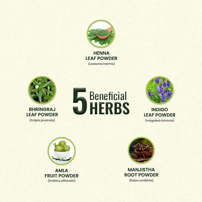 List of five beneficial herbs with images and names on a beige background.