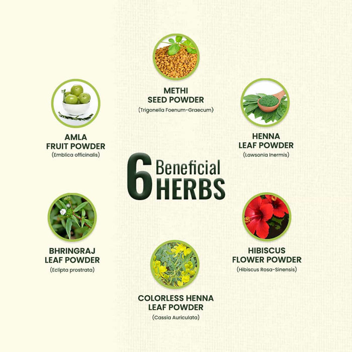 List of six beneficial herbs with images and names on a beige background.