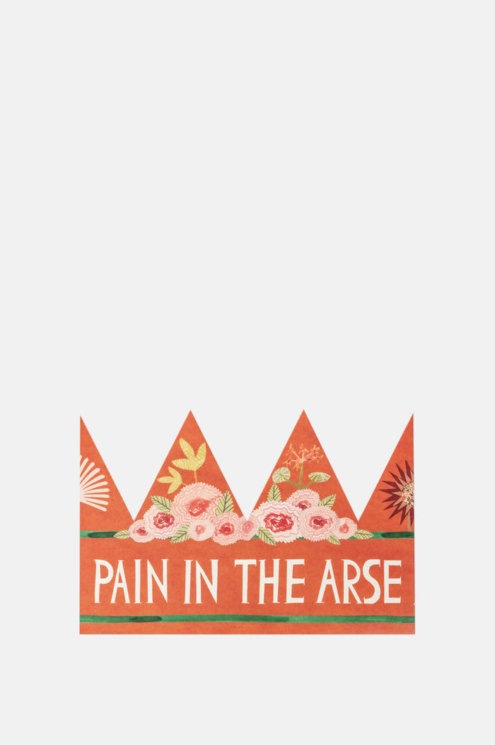 Hadley Paper Goods Pain In The Arse Party Hat.