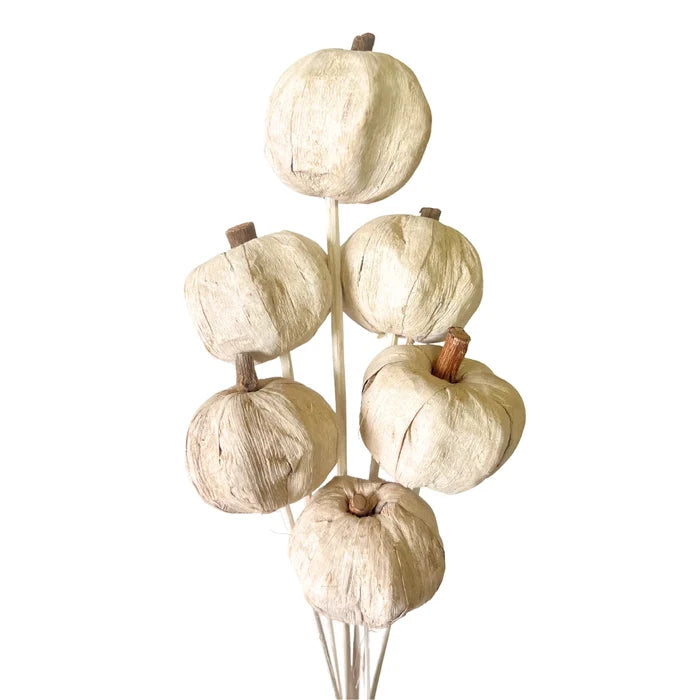 Pumpkins on a stem
