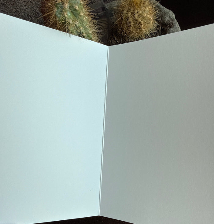 Blank note card inside, open fold, light blue paper