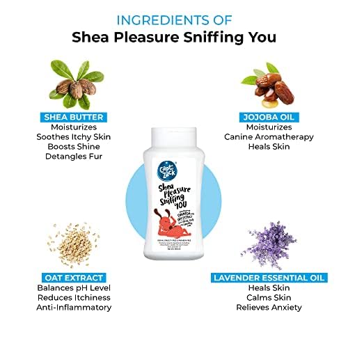 Shea Pleasure Sniffing You Conditioning Shampoo 200ml