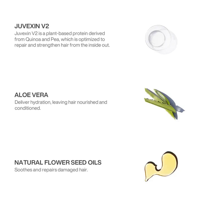 Shield Shampoo & Conditioner ingredients: Juvexin V2 plant protein from quinoa and pea, aloe vera, natural flower seed oils