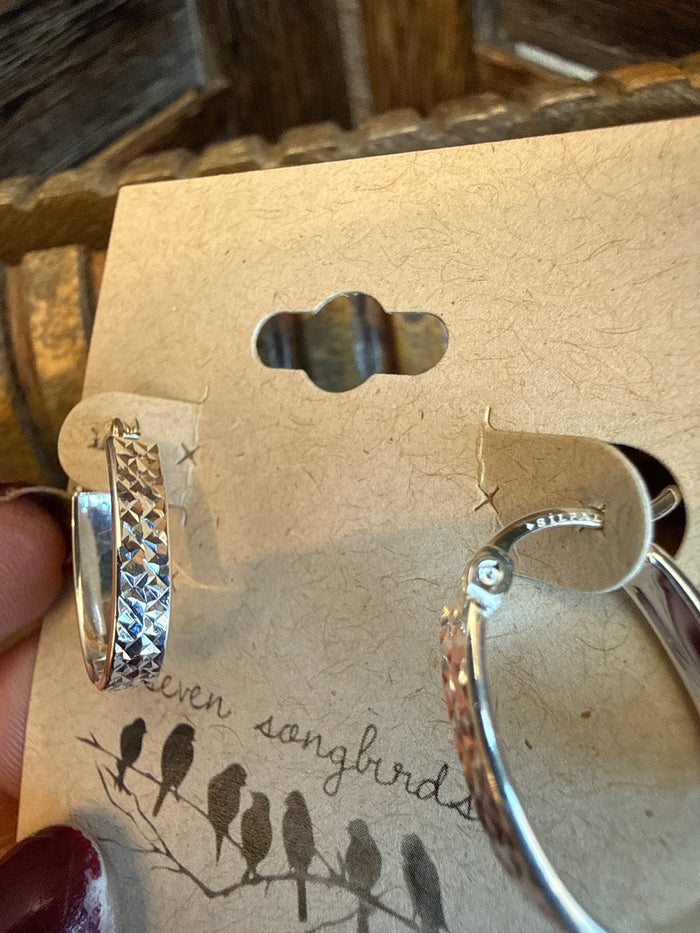 Sterling silver small hoop earrings with sparkling stones along the hoop