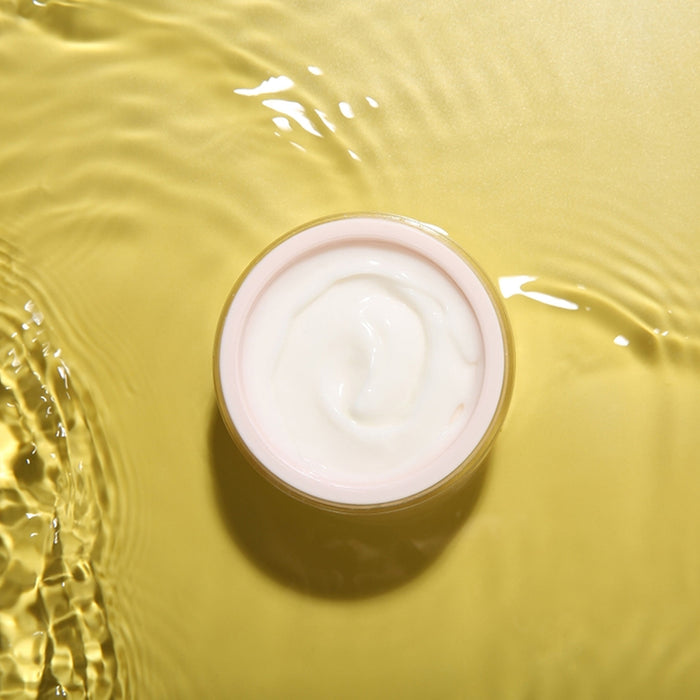 SPRING H2O Youth Lift brightone Day Cream Rebuilds Skin Barrier (50 ml)