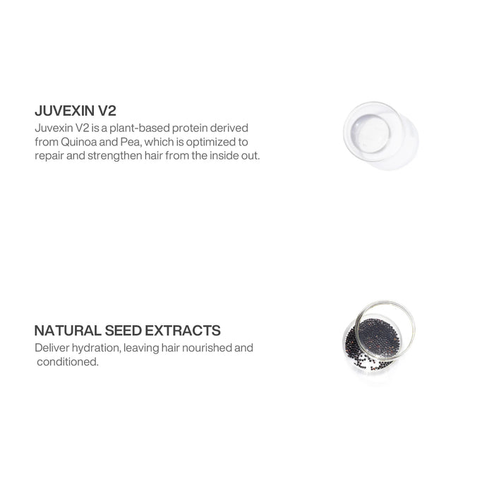 The Best Keratin Professional Hair Kit ingredients: Juvexin V2 quinoa and pea protein plus hydrating natural seed extracts