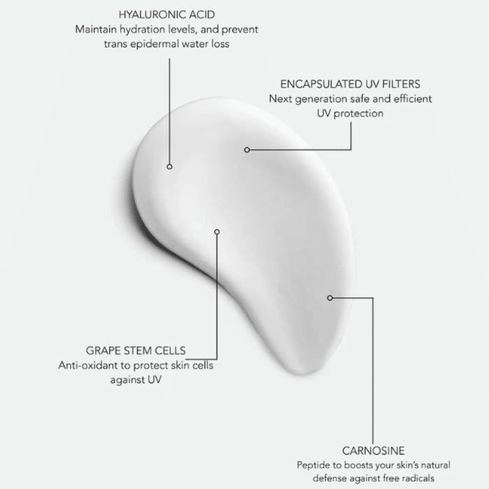 The Grey Men's Daily Face Protect SPF50 - Beauty Tribe