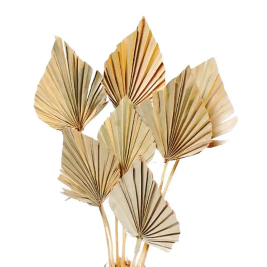 The Palm Spear